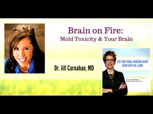 Brain on Fire: Mold Toxicity with Dr. Jill Carnahan