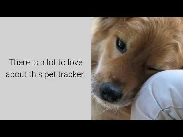 Tractive GPS Pet Tracker - Pros, Cons & Reviews Of Tractive Pet Tracker