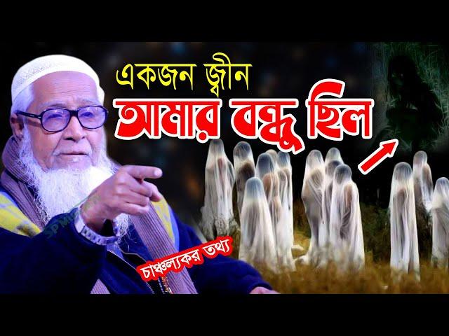 একজন জ্বীন ‍আমার বন্ধু ছিল ! জীন সম্পর্কে চাঞ্চল্যকর তথ্য দিলেন আল্লামা লুৎফুর রহমান | Lutfur Rahman