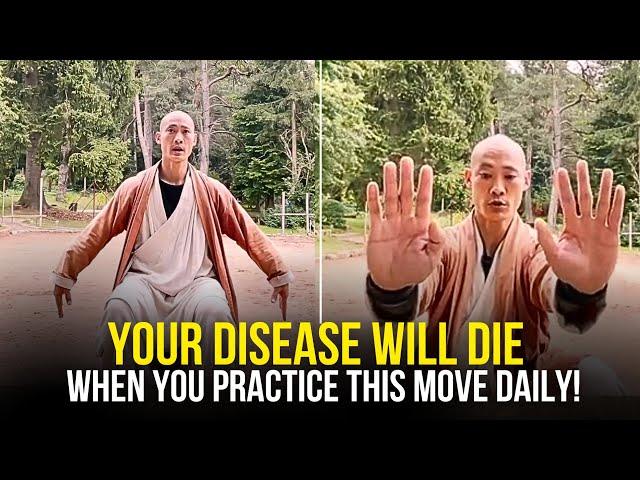 This Exercise Will Make Any Pain Disappear Forever | Shi Heng Yi