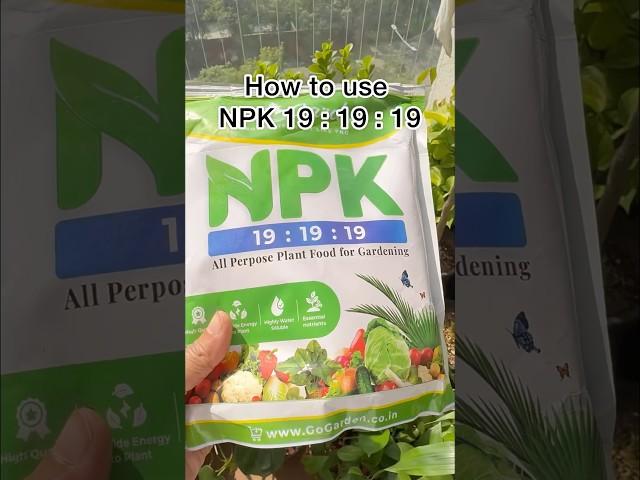 How to use NPK 19 : 19 : 19 for indoor and outdoor gardens ‍🪴 #plantstoriesbypoojaaparajita