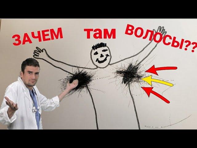 Почему растут волосы подмышками???Зачем там нужны волосыЛекция от Доктора Уткина