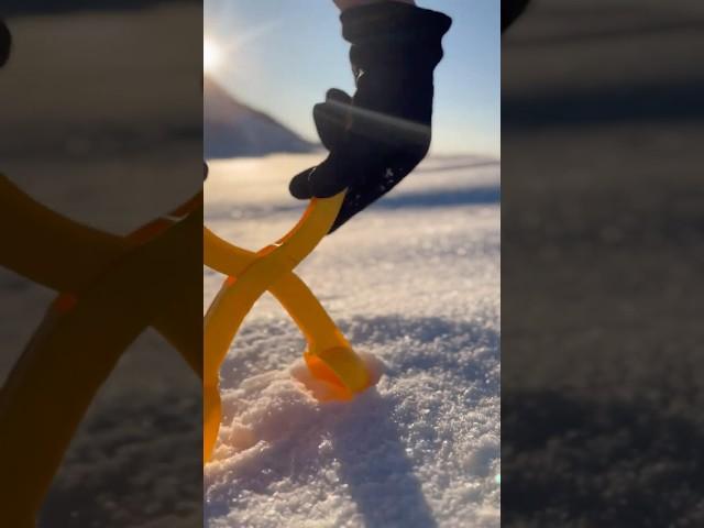 Are you READY to make PERFECT SNOWBALLS this winter?!? #shorts