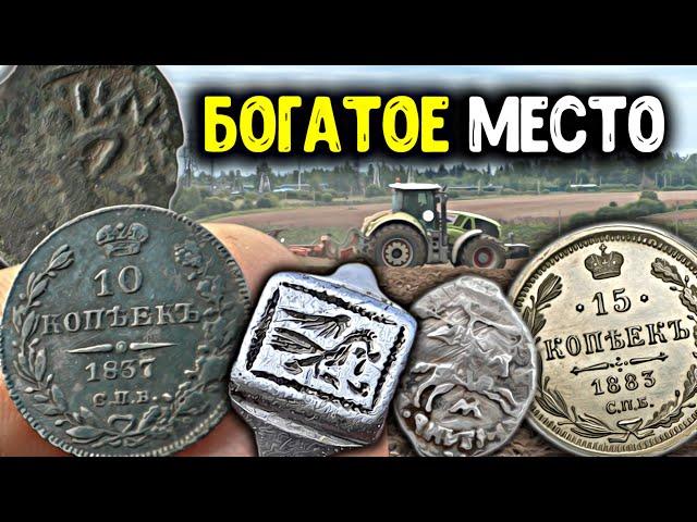 Богатое место! Старые монеты, Тверское пуло, редкие находки металлоискателем! Поиск кладов Коп 2024!