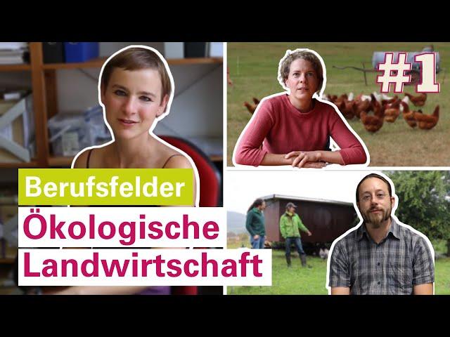 Berufsfelder in der Ökologischen Landwirtschaft | Universität Kassel