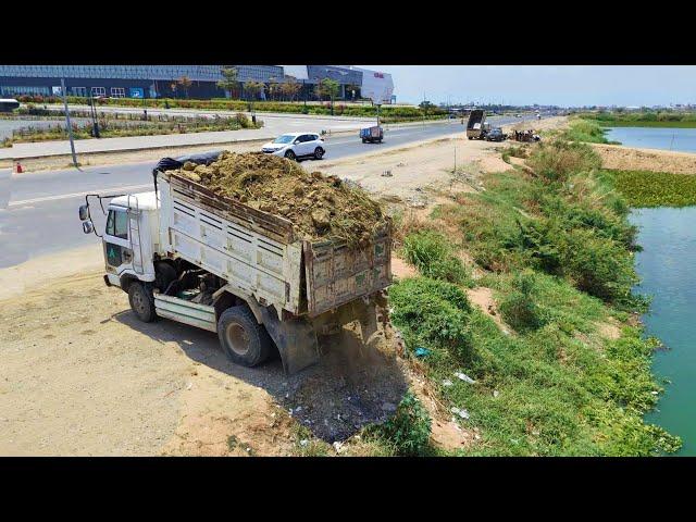 Wonderful Start New Project!Dump Truck Filling Land Huge Lake,Bulldozer D31P Pushing Soil Perfectly