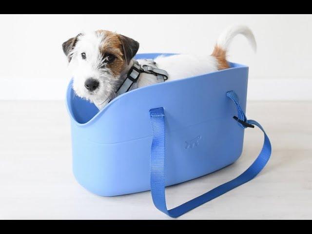 Carry your dog always with you, thanks to Ferplast pet bag WITH-ME !