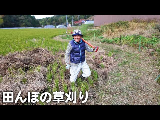 【癒し】田舎の原風景！おばあちゃんの笑顔と鳥の声