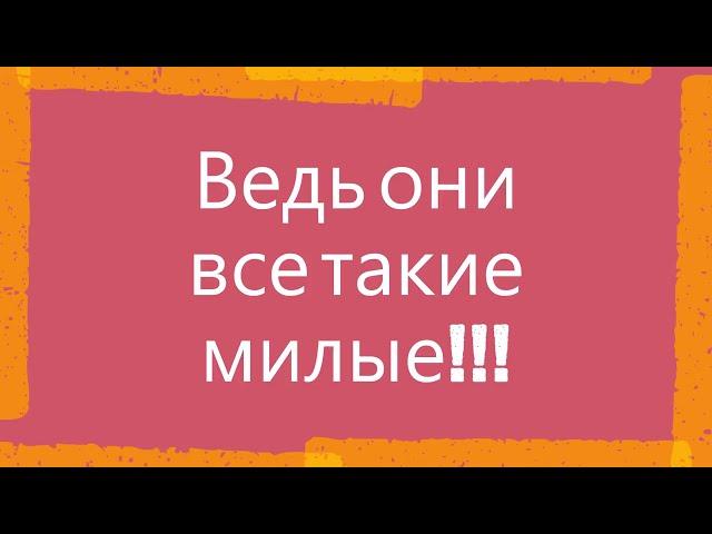 Единороги в реальной жизни  самое милое видео на моём канале (про щенят)