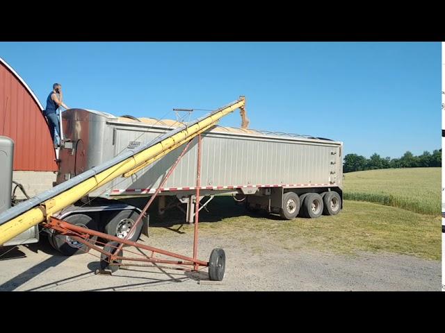 Moving beans 6/18/20