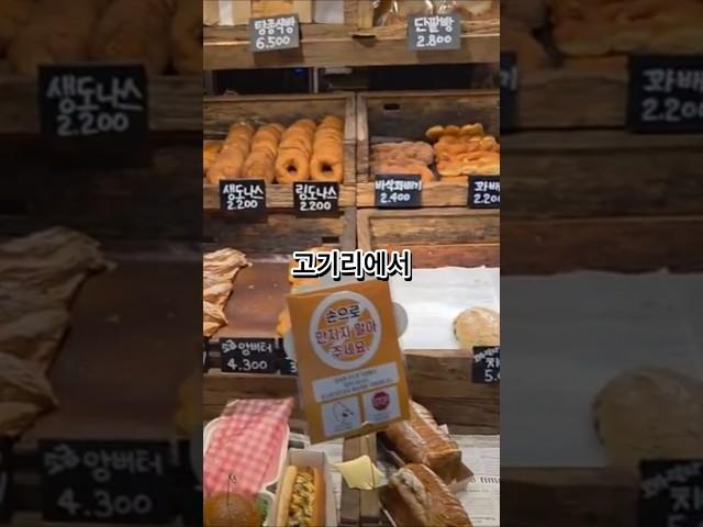 고기리에서 밥먹고 우연히 가 본 빵공장소운!!! 여기 맛있고 느낌도 좋음!!!