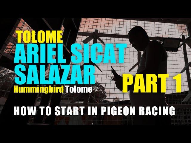 Part 1 How to start Ariel Sicat Salazar aka. Tolome in Pigeon Racing