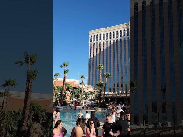 rufus du sol - on my knees (tao beach dayclub venetian las vegas)