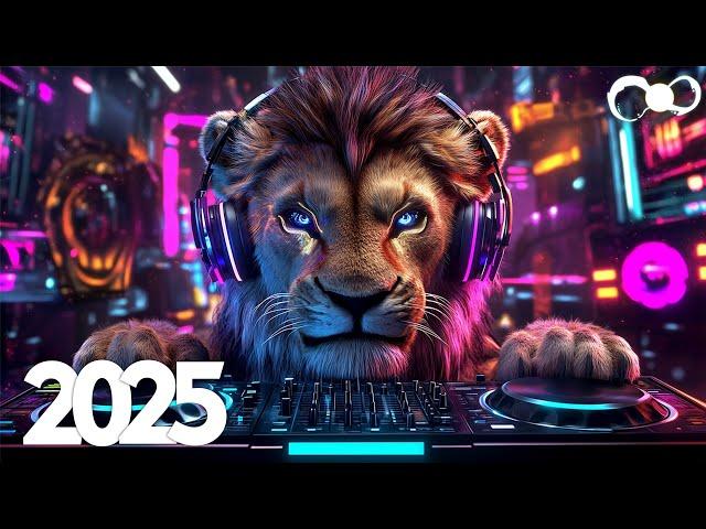 Bass Boosted EDM Music Mix 2025  Popular Song Remixes  Top EDM Tracks of 2025