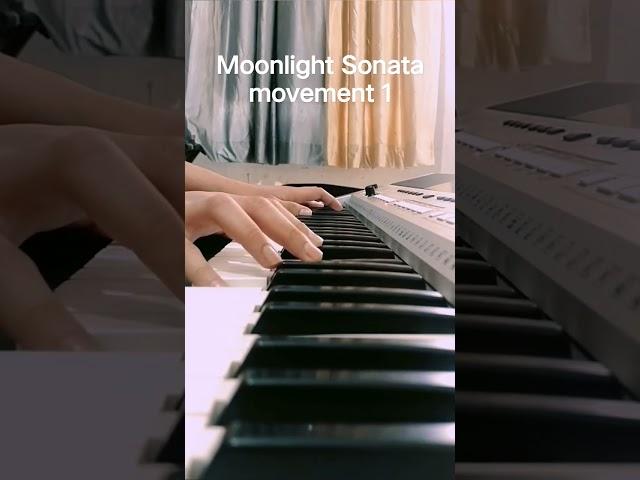 Beethoven's moonlight sonata movement 1st|piano cover by Dhruv|#short#shorts#piano#beethoven#dhruv