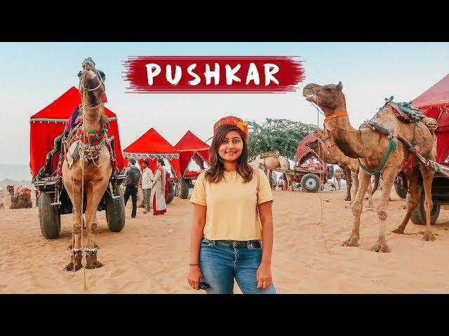 EXPLORING PUSHKAR | Pushkar Camel Fair   | Things to do in Pushkar, Rajasthan | Kritika Goel