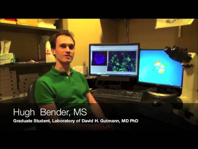 Finding new treatments for brain disorders in NF1