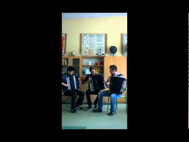 David Guetta ft. Sia - Titanium (Crazy Accordion Trio Cover)