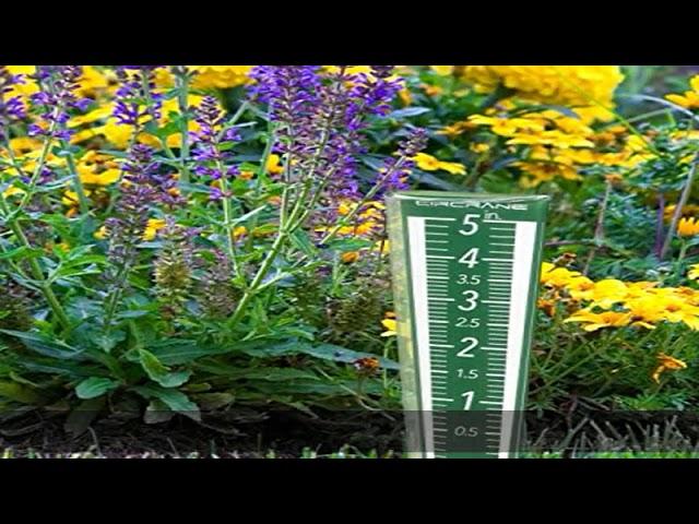 Circrane 5-Inch Capacity Outdoor Rain Gauge with Additional Hang Bracket& Stainless Steel Screws, M