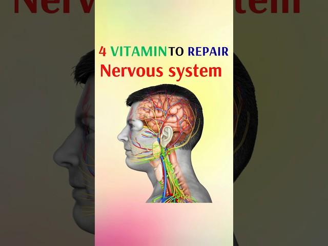 4 vitamins to repair nervous system #shorts