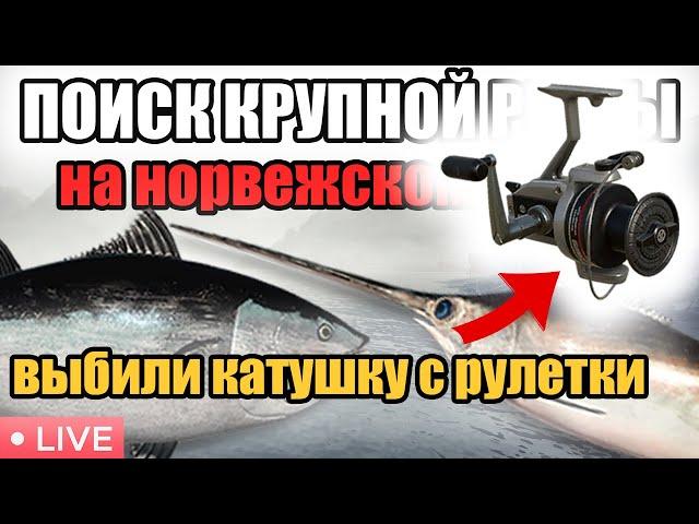 ПОЙМАЛ ТРОФЕЙНОГО СОМА •  ВЫБИЛИ КАТУШКУ С РУЛЕТКИ  • РР4 СТРИМ • РОЗЫГРЫШИ • РУССКАЯ РЫБАЛКА 4