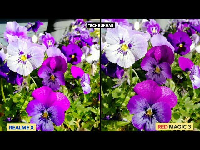 Realme X vs Nubia Red Magic 3 Camera Comparison Test || #RealmeX, #RedMagic3, #TECHBUKHAR, Realme