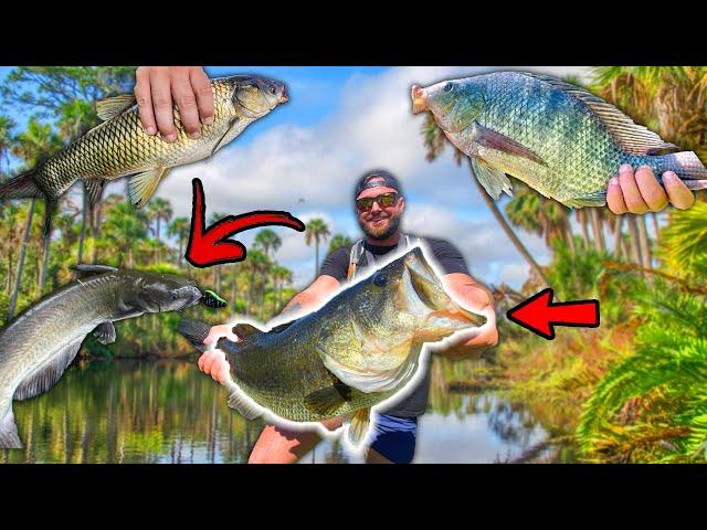 24 Hour MULTI - SPECIES Fishing Challenge!!! (WITH ONLY 1 LURE!)