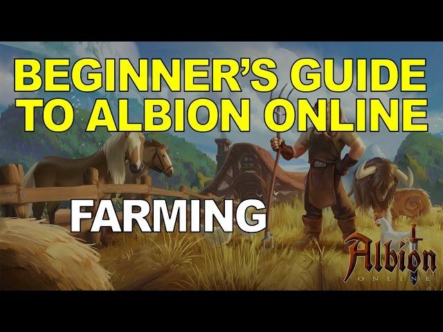 Beginner's Guide To Albion Online - Farming