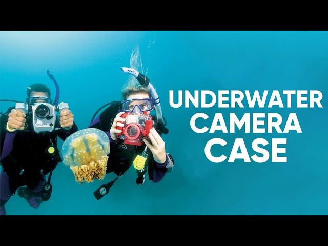 Top 5 Best Underwater Camera Housing for You