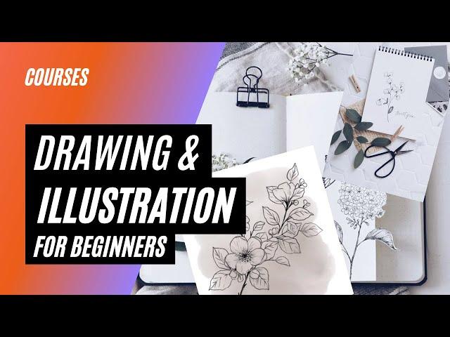 Drawing and Illustration for Beginners Online Course #drawing #illustration