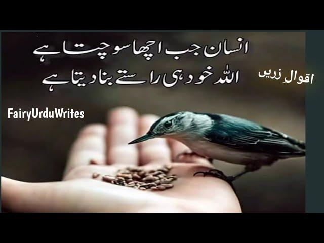 Inspirational Quotes in Urdu/Hindi..|| beautiful image's quotes..||Quotes..||@zubairmaqsoodvoice