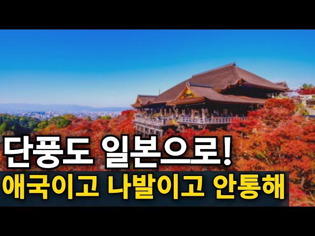 일본 단풍객 폭주 | 국내 관광지 끝도없이 추락한다