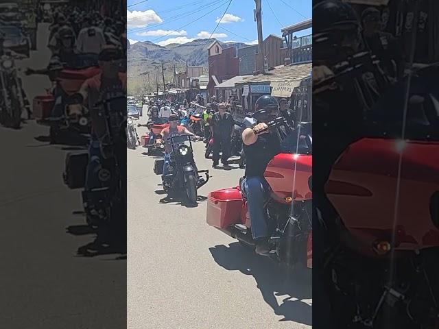 Biker Harley-Davidson Dreams, Motorcycles on Route 66 Oatman Arizona #shorts #Motorcycle #biker