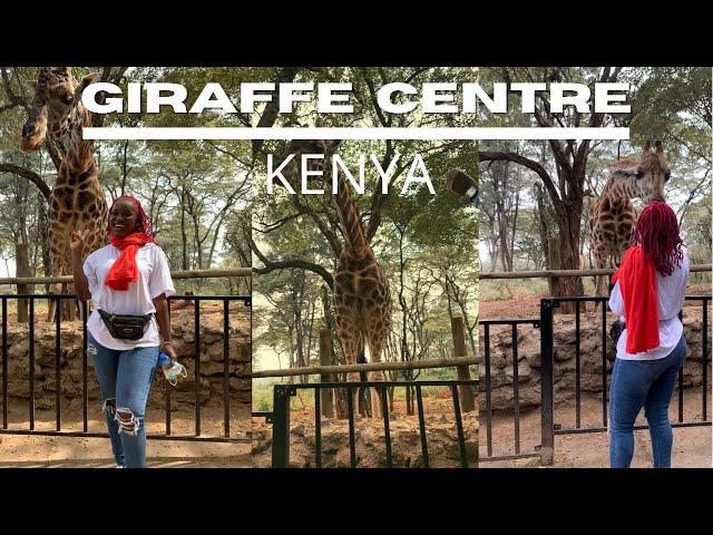 A VISIT TO THE GIRAFFE CENTER/Things to do in Nairobi/Kenya