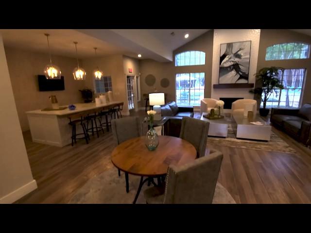 Luxury Apartment | Alamo Heights