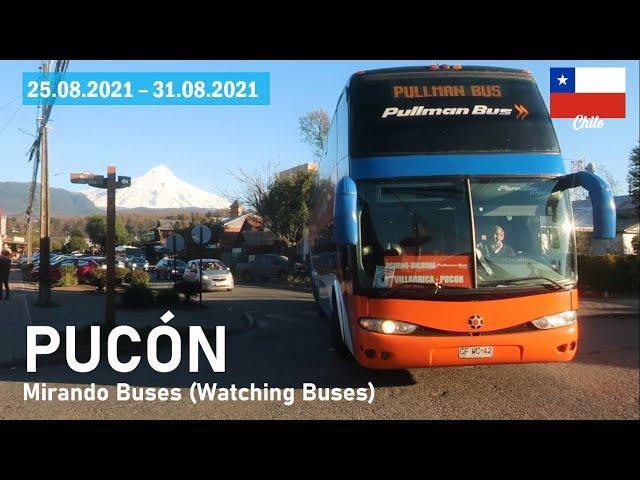 WATCHING BUSES in PUCÓN (Chile) - August 25 to 31, 2021