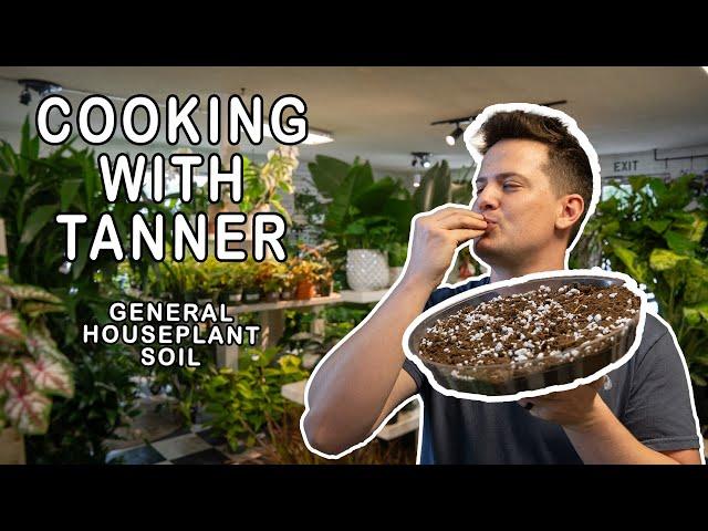 DIY Best General Houseplant Soil Mix