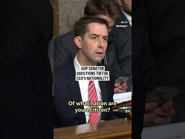 Senator grills TikTok CEO about his nationality