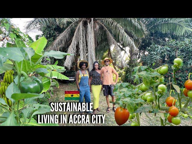 YOU NEED TO SEE THIS GHANA HOUSE | GHANAIAN COUPLE GROW THEIR OWN FOOD IN ACCRA | LIVING IN GHANA