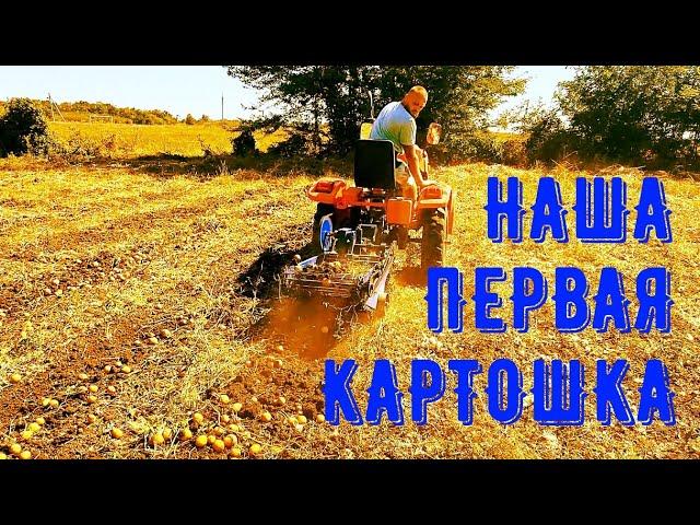 Копаем картошку. Переработка овощей. Будни фермера.