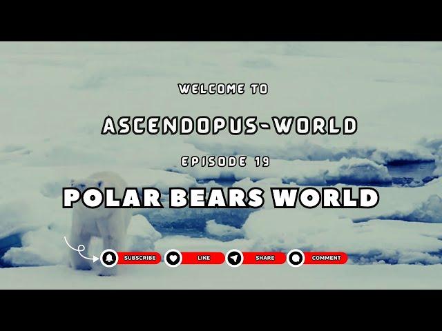 Episode 19: Creatures of Earth  I Polar Bear World I @Ascendopus-World