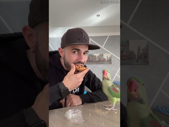 Man Shares Snack With Parrot || ViralHog