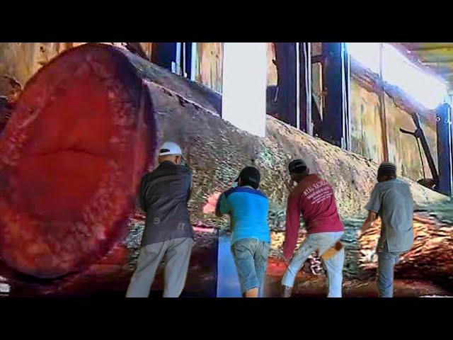 Rare Phenomenon! Red Glowing Hard Wood Found During Sawing || sawmill