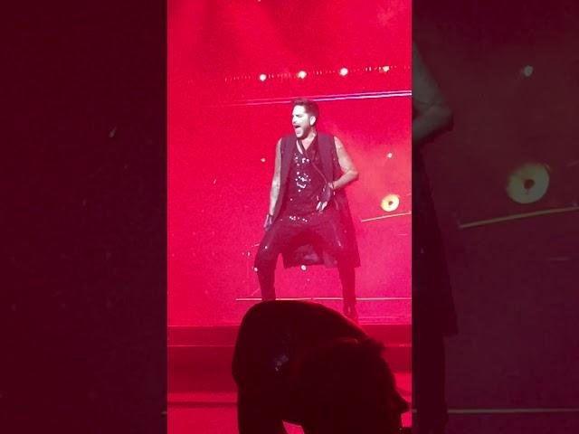 Adam Lambert "Dance Moves " QAL Dublin 25.11.2017 ️