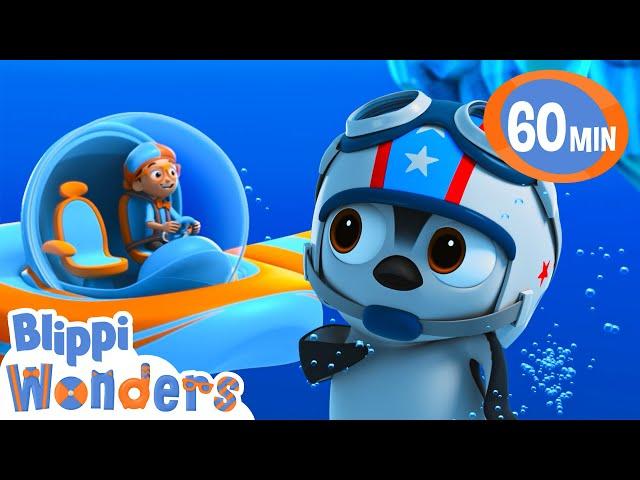 Blippi wonders can penguins fly? | Blippi Wonders Educational Videos for Kids