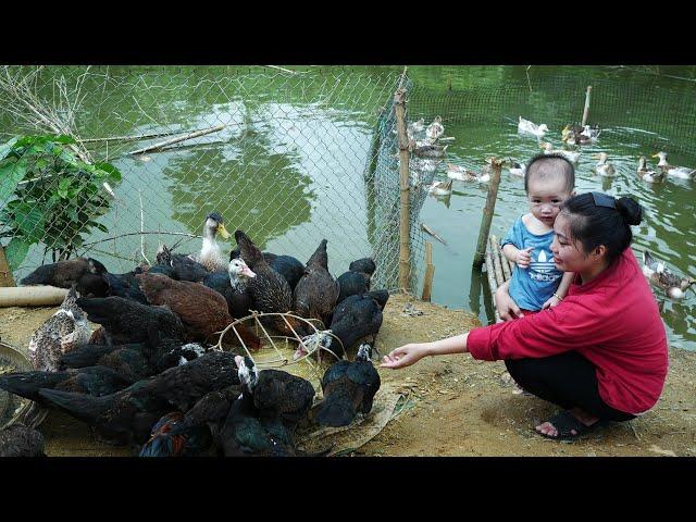 The Daily Life of an 18-Year-Old Single Mother - Cooking with Her Children & Taking Care of The Farm