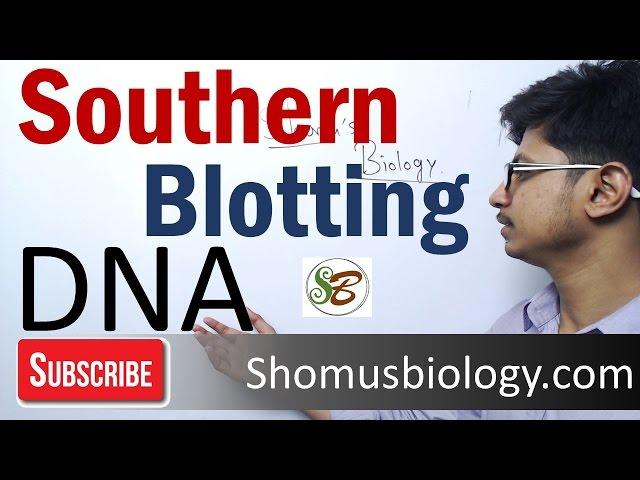 Southern blotting