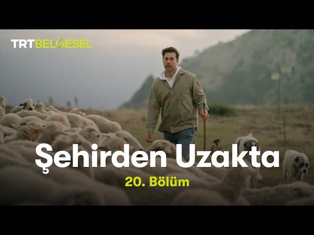 Şehirden Uzakta | Çorum - Kargı Yaylası | TRT Belgesel