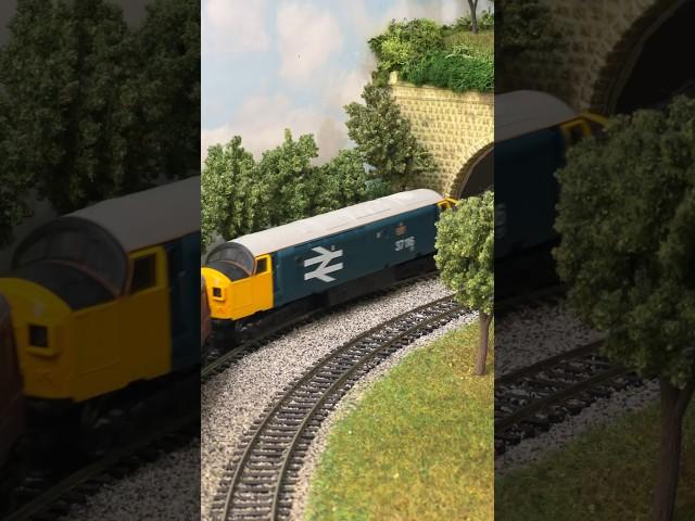 Hornby Class 37 Pulling a Passenger Train on the Railway