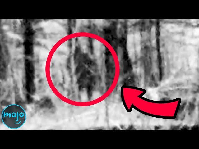 Top 10 Unbelievable Bigfoot Sightings Caught on Camera